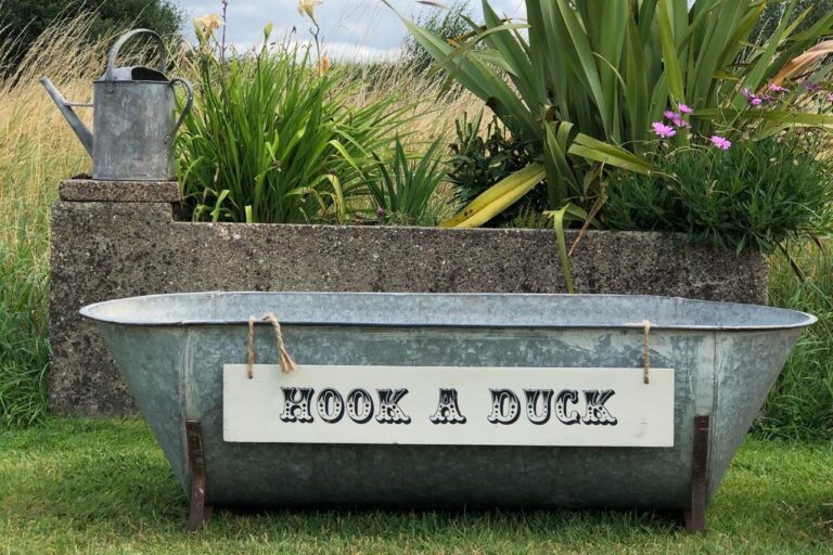 Hook a Duck Hire